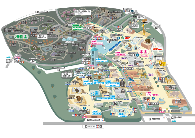 ナイトZOO&GARDEN開催期間中のイベント等の情報を記載した東山動植物園の園内MAP
