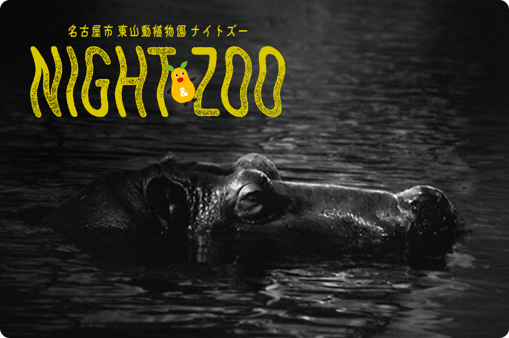 ナイトZOOのキービジュアル
