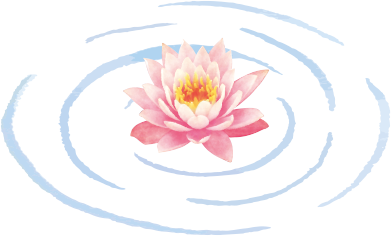 蓮の花