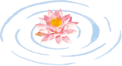 蓮の花