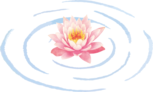 蓮の花