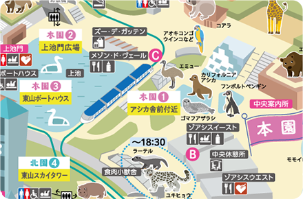 イルミネーションスポット～動物と光の世界～場所付近の東山動植物園の園内MAP